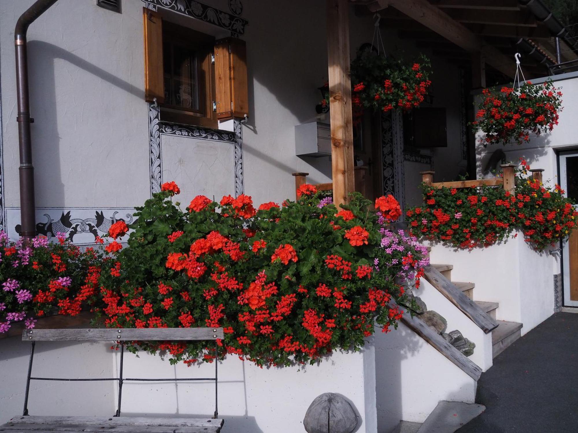 Chesa Sper L'Ovel Brail Apartment Zernez Exterior photo