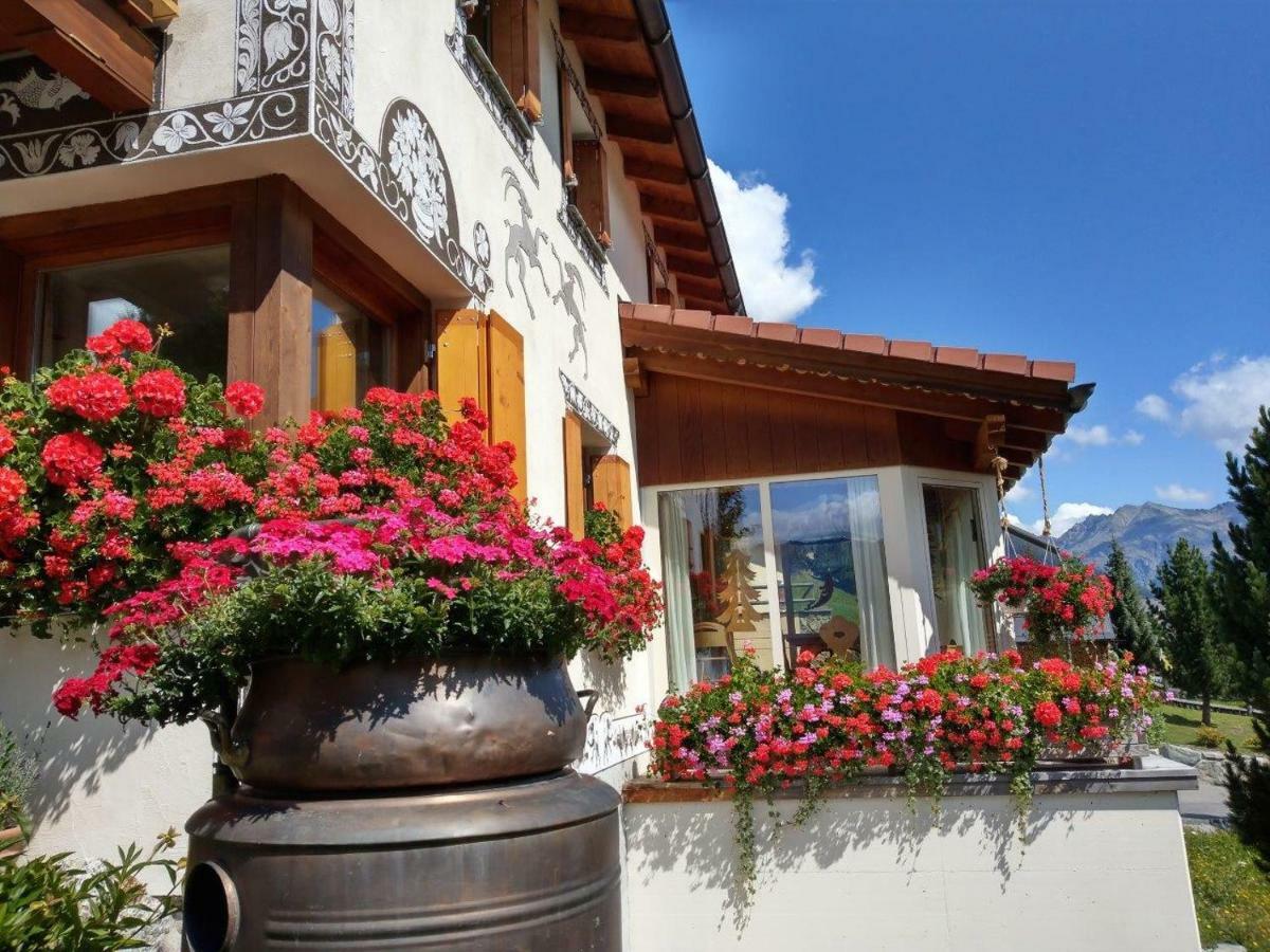 Chesa Sper L'Ovel Brail Apartment Zernez Exterior photo